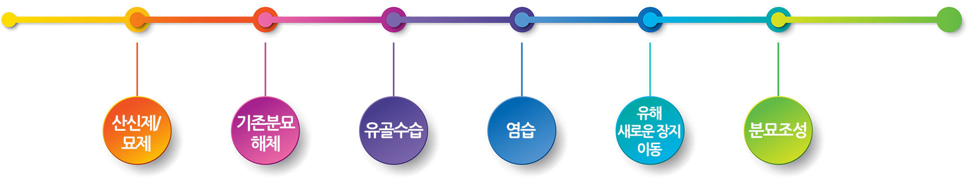 산신제/묘제, 기존분묘 해체, 유골수습, 염습, 유해 새로운 장지 이동, 분묘조성